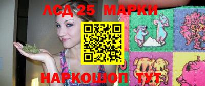 mdpv Кимры