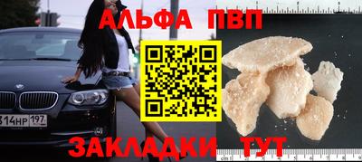 трава Кингисепп
