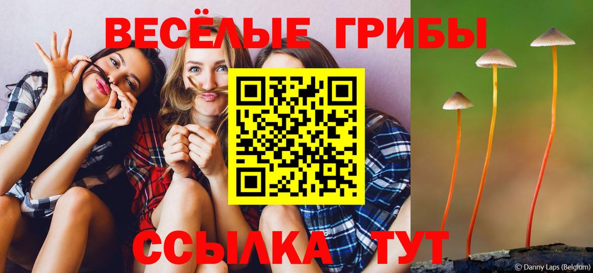 Псилоцибиновые грибы GOLDEN TEACHER Ипатово